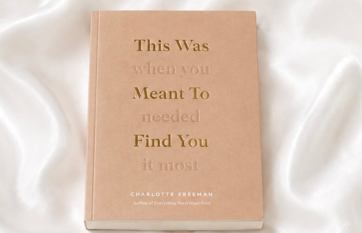 This Was Meant To Find You (When You Needed It Most) - Book